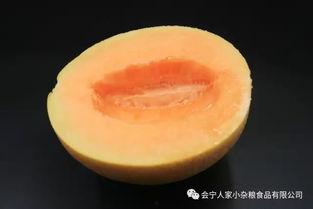 甘肃会宁吃瓜